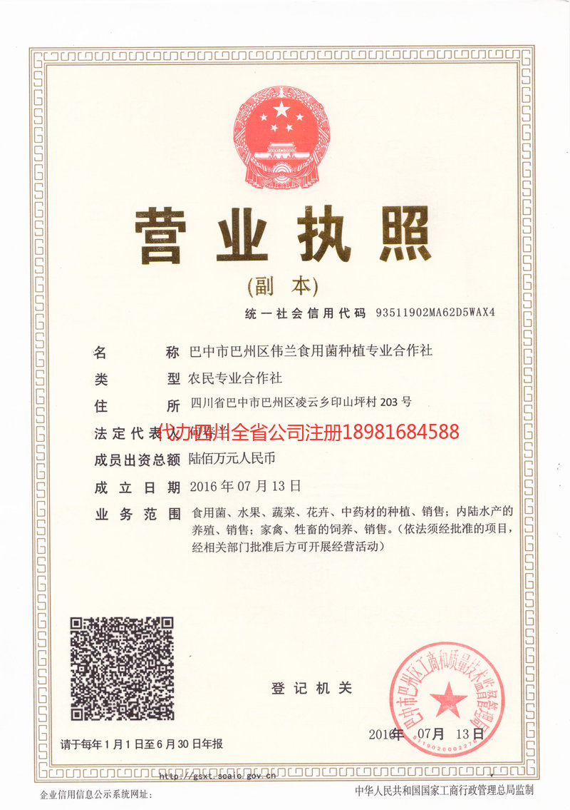 清远清远伟兰食用菌种植专业合作社